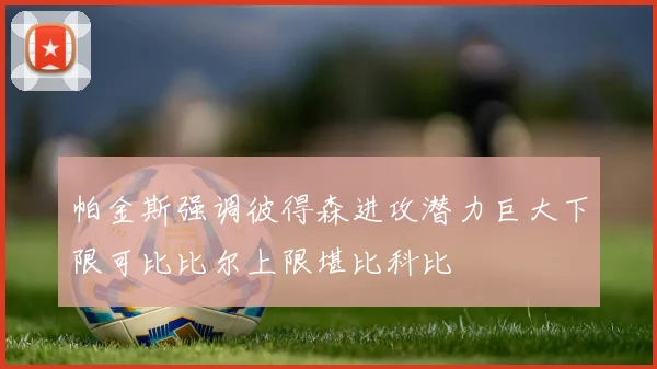 帕金斯强调彼得森进攻潜力巨大下限可比比尔上限堪比科比