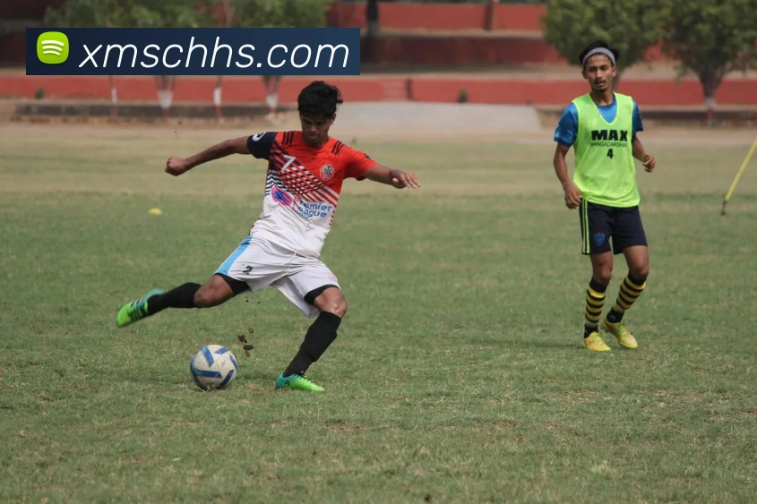 小鸟体育品牌故事